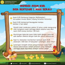 Ya itulah maksud dari peribahasa itu, seharusnya ayam hidup berkecukupan di dalam lumbung padi yang penuh makanan itu, tapi mengapa malah mati, itu menjadi poinnya, seolah2 menyindir bangsa yang bergelimang sumber daya alam tapi miskin :d. Guruh Santoso Ghoer37 Twitter