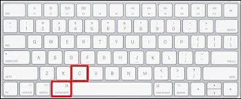 Hold the command key, then press the v key to paste. How To Copy Cut And Paste On A Mac Technical Aide