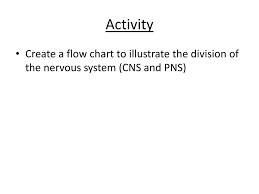 Chapter 12 The Nervous System Ppt Download