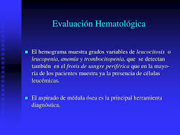 Michael richards, michael richards, d.v.m. Ppt Leucemias Agudas Powerpoint Presentation Free Download Id 1438312