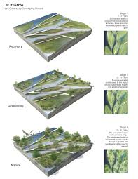 Staged Axos Of Plant Community Developing Phases Natural Water As Cultural Water A 30 Year Plan For Landscape Diagram Landscape And Urbanism Landscape Plans