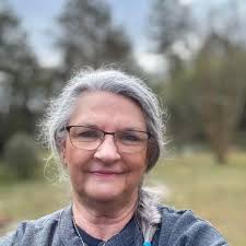 What could this small tree or bush be?