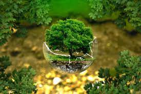 Il 5 giugno si celebra la giornata mondiale dell'ambiente. Giornata Mondiale Dell Ambiente 2019 Ecco Quando Si Svolge