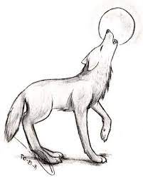 Images Of Wolf Drawings And Wolf Sketch Easy At Paintingvalley Explore Collection Wolf Sketch Wolf Drawing Wolf Sketch Easy Select from premium wolf drawing of the highest quality. wolf drawings and wolf sketch easy