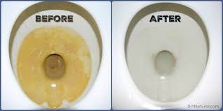 How to prevent hard water stains in toilet. A Diy Hard Water Stain Remover Recipe For Cleaning Toilets And More Hard Water Stain Remover Hard Water Stains Toilet Stains