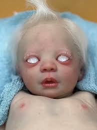 Reborn Dolls and Lifelike Baby Dolls