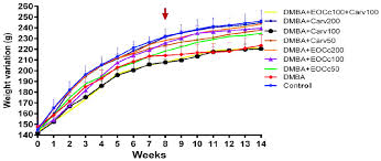 Light blue ribbon as symbol of prostate cancer awareness, graves disease. Variation Of Body Weight In Rats With Dmba Induced Breast Cancer And Download Scientific Diagram