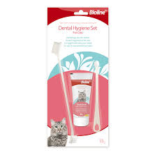 ***disclaimer*** please do not use human toothpaste. New Type Clean Plastic Pet Toothpaste Toothbrush Cat Tooth Brush Buy Cat Tooth Brush Clean Tooth Brush Pet Toothpaste Toothbrush Product On Alibaba Com