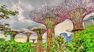 Stay cool and comfortable as you marvel at the breathtaking views of marina bay from the singapore flyer's capsules. Singapore The City That Learned How To Blend Nature With Urban Living Euronews