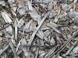 Will woodchips on my garden attract termites? 24 Cheap Mulch Ideas To Save Money Epic Gardening