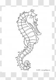 Eric carle's book of many things seahorse collage (plan 75 minutes for this lesson and activity.) about the artist: Mister Seahorse Coloring Book Clip Art Transparent Png