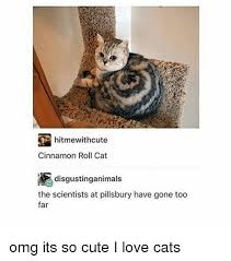 This makes the oats softer, which is the prime add in a bit of cinnamon at the end to add flavor to the porridge. Hitmewithcute Cinnamon Roll Cat Disgustinganimals The Scientists At Pillsbury Have Gone Too Far Omg Its So Cute I Love Cats Cats Meme On Me Me