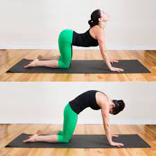 Slowly relax and yield to the effects of gravity. Cooldown Cat Cow 25 Minute Home Workout Popsugar Fitness Middle East Photo 17