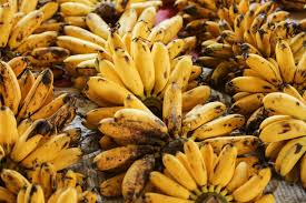 Check spelling or type a new query. Fruits In Southeast Asia Which Ones Are You Going To Find There