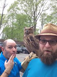 Nhecm: Animalogy (@naturalhistoryeducationalcompany) • Facebook