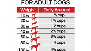 Victor Dog Food Feeding Chart Exploredogs Com