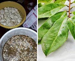 Oke demikian tips cara membuat herbisida organik (racun rumput) yang ramah lingkungan dan hasil budidaya aman dikonsumsi. Cara Berbeza Buat Racun Organik Selain Guna Bawang Putih Rupanya Daun Durian Belanda Pun Boleh Hindarkan Serangga Perosak Keluarga