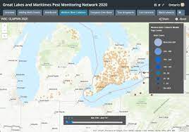 Great lakes and maritimes pest monitoring network will be the new home for the wbc trap network and will include data from trapping sites in manitoba, michigan, ohio, ontario, quebec, new york, new brunswick, prince edward island, and nova scotia. Southwest Michigan Field Crop Update July 30 2020 Field Crops