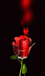 Https Encrypted Tbn0 Gstatic Com Images Q Tbn And9gcrgc3zgrpvnzzq9hwbst9d9whzwhgzb2bksyq Usqp Cau