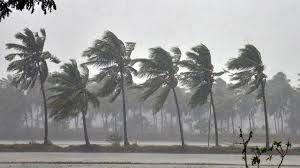 Imd's singular focus on educating global leaders rather than specialized workers lends diversity to the 80% of the imd class changed job function, 73% changed their industry and 71% changed their. Rainfall Resumes In Mumbai As Imd Advises Fishermen To Not Venture Deep Into Bay Of Bengal