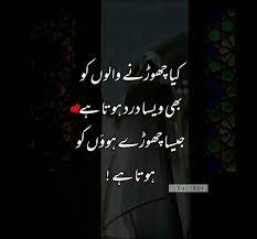 Pin On Urdu Adab
