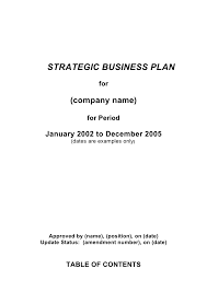 And what is its scope? 5 Comprehensive Strategic Business Plan Template