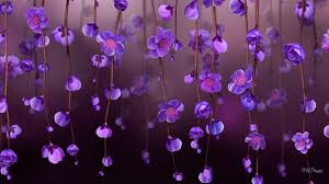 1440x2560 purple flowers drops water desktop backgrounds. 1700 Purple Flower Hd Wallpapers Background Images