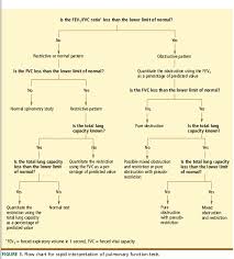Image result for Lung Function Questionnaire