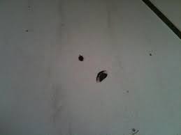 Neu fliesen wollten wir nicht also habe ich alle löcher kaschiert mit muscheln oä. Hasslige Locher In Den Fliesen Verschliessen Womit Tipps Haushalt Handwerk