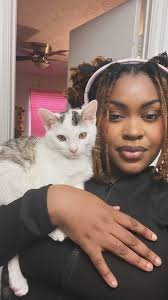 Hey yall this is my cat Theo (Theodous when he do something bad 😂) I  submitted him for the cat calendar and he got accepted 😆😆