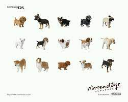How do i unlock new breeds of dog? Nintendogs Love Gif My Dream Car Old Things