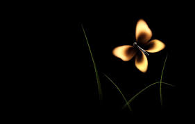 You can download free butterfly png images with transparent backgrounds from the largest collection on pngtree. Wallpaper Fire Butterfly Match Black Background Images For Desktop Section Minimalizm Download