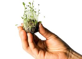 Banyak cara yang bisa dilakukan dengan cara menjaga. Jom Join Kempen Spritzer Grow Nature Warriors Ni Untuk Menjaga Alam Sekitar
