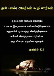 Pin On Tamil Islamic Quotes