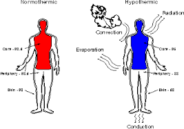 Check the weather forecast for windy and cold days. Outdoor Action Guide To Hypothermia Cold Weather Injuries