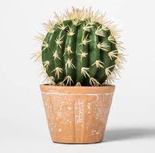It needs to go into a dormant cycle to it needs to get this reduction in light approximately 8 weeks before you want it to bloom. Faux Cactus Decoration Cactus Plants Cactus Arrangement Artificial Cactus