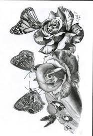 For boys and girls, kids and adults, teenagers and toddlers, preschoolers and older kids at school. Pin On Roses And Butterflies