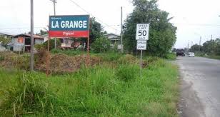 Image result for Grangea zambesiaca