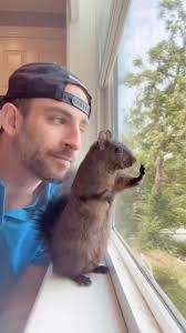 Chase Leonard's Instagram, Twitter & Facebook