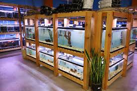 Lawmakers discussing ban on sale of dogs, cats at pet stores. Welcome Nature Box Pet Emporium