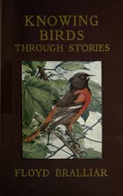 Birds Of East Texas Book Knowing Birds Through Stories Biodiversity Heritage Library Cover Art Birds Of America Birds