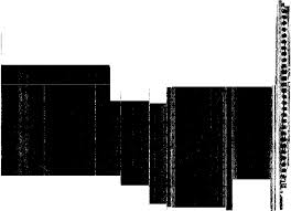 204. 3—96~G—13365