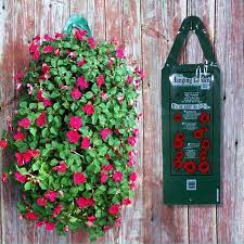 We did not find results for: How To Plant A Hanging Basket 7 Pro Secrets Revealed Ingredients For A Fabulous Life