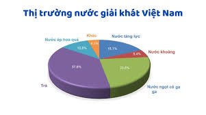 Thị trường nước giải khát Việt Nam năm 2023-2024
