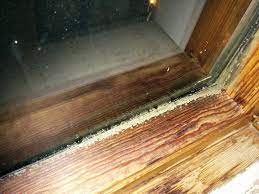 Maybe you would like to learn more about one of these? Greenish Gray Mold On Wooden Window Frame Home Improvement Stack Exchange