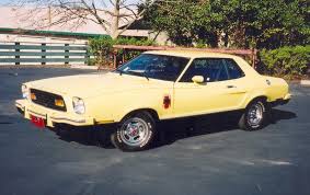 Image result for Yellow 1976 Fleet