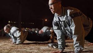 Image result for saltpeter