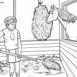 We did not find results for: Ausmalbilder Tiere Auf Dem Bauernhof Kostenlos Drucken Und Ausmalen