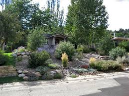Xeriscape Landscaping Pictures In Colorado Naturescapes Landscaping 970 759 1687 Durango Colora Xeriscape Landscaping Xeriscape Front Yard Xeriscape