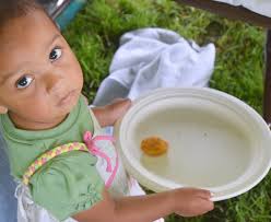 Bruce & Florence Hershey Family Reunion